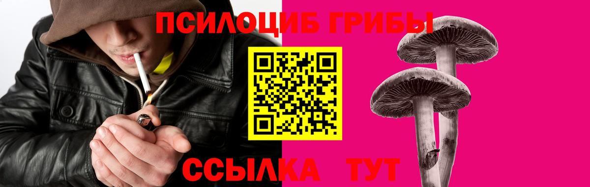 Псилоцибиновые грибы Magic Shrooms  Вход с VPN  Прокопьевск 